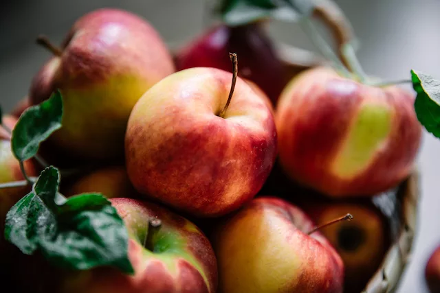 Trader Joe's Fall haul Apples