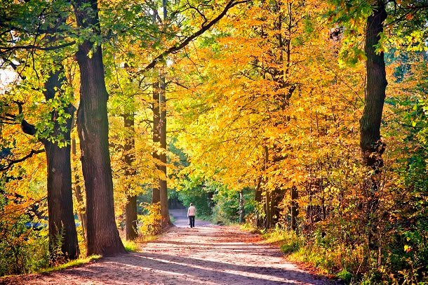 101 Inspirational September Quotes for a Motivated and Happy Start to Your Fall Season