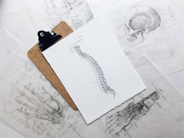 How Chiropractic Care Fits Into A Healthy Lifestyle
