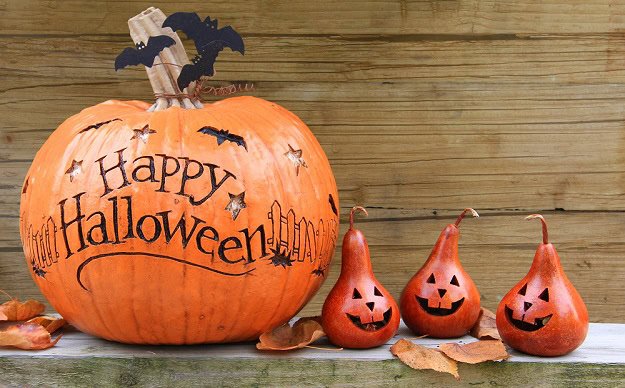 Funny, Short and Spooky Sayings